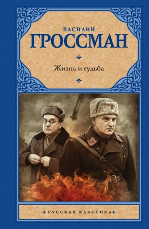 Василий Гроссман - Жизнь и судьба