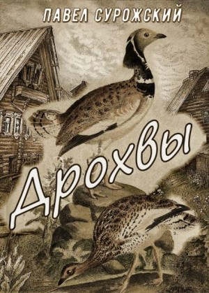 Павел Сурожский - Дрохвы