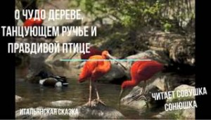  - О чудо дереве, танцующем ручье и правдивой птице