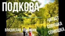 Владислав Крапивин - Подкова