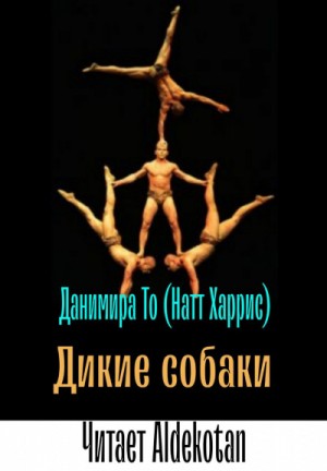 То Данимира - Дикие собаки