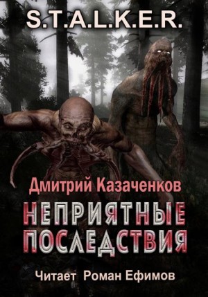 Дмитрий Казаченков - S.T.A.L.K.E.R. Неприятные последствия